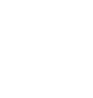 Icon illustrations services
